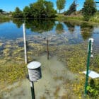 A low-cost sensor in an Ann Arbor pond.